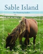 Sable Island: The Wandering Sandbar
