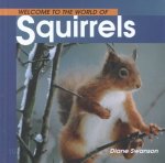 Welcome to the World of Squirrels