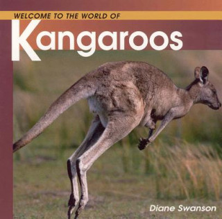 Welcome to the World Kangaroos