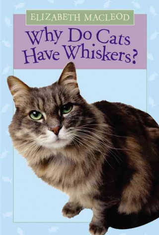 Why Do Cats Have Whiskers?