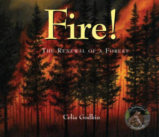 Fire!: The Renewal of a Forest
