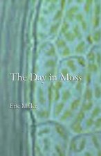 The Day in Moss