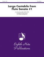 Largo Cantabile from Flute Sonata #1