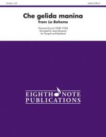 Che Gelida Manina (from La Boheme): Part(s)