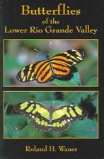 Butterflies of the Lower Rio Grande