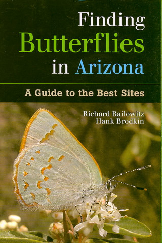 Finding Butterflies in Arizona: A Guide to the Best Sites