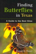 Finding Butterflies in Texas: A Guide to the Best Sites