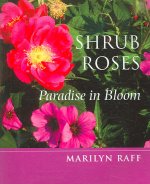 Shrub Roses: Paradise in Bloom