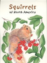 Squirrels of North America