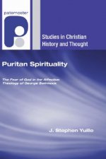 Puritan Spirituality: The Fear of God in the Affective Theology of George Swinnock