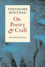 On Poetry and Craft