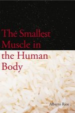 Smallest Muscle in the Human Body