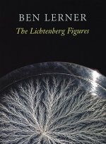 Lichtenberg Figures