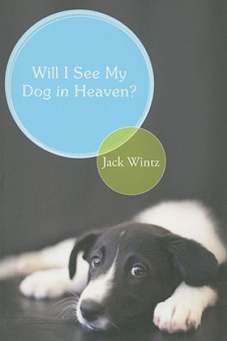 Will I See My Dog In Heaven