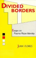 Divided Borders: Essays on Puerto Rican Identity