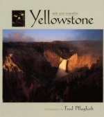 Yellowstone Wild and Beautiful