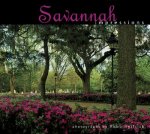 Savannah Impressions