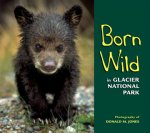 Born Wild in Glacier National Park