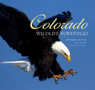 Colorado Wildlife Portfolio