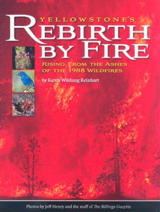 Yellowstone's Rebirth by Fire: Rising from the Ashes of the 1988 Wildfires