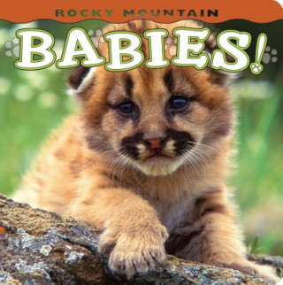 Rocky Mountain Babies!