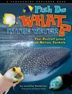 Fish Do What in the Water?: The Secret Lives of Marine Animals