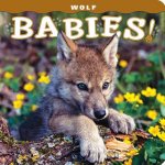 Wolf Babies!