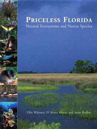 Priceless Florida
