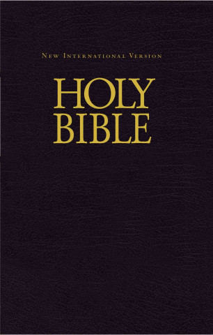 Holy Bible-NIV