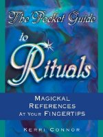 The Pocket Guide to Rituals: Magickal References at Your Fingertips