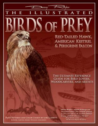 The Illustrated Birds of Prey: Red-Tailed Hawk, American Kestrel & Peregrine Falcon: The Ultimate Reference Guide for Bird Lovers, Woodcarvers, and Ar