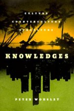 Knowledges: A Social History of Abortion in America