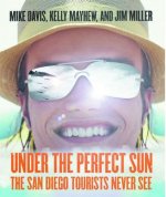 Under The Perfect Sun