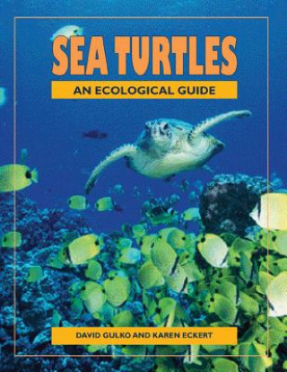 Sea Turtles: An Ecological Guide