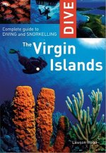 Dive the Virgin Islands: Complete Guide to Diving and Snorkeling