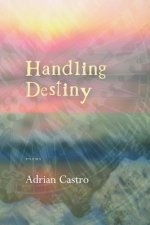 Handling Destiny