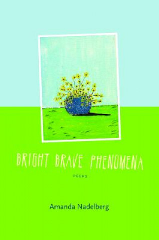 Bright Brave Phenomena