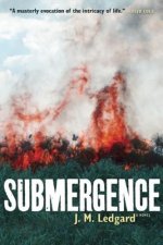 Submergence