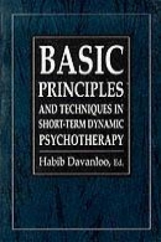 Basic Principles & Techniques in Short-Term Dynamic Psychotherapy (The Master Work Series)