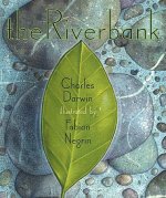 The Riverbank