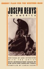 Joseph Beuys in America: Energy Plan for the Western Man