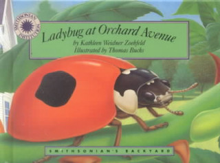 Ladybug at Orchard Avenue