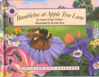 Bumblebee at Apple Tree Lane