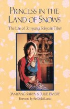 Princess in  Land of Snows