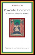 Primordial Experience