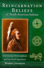 Reincarnation Beliefs of North American Indians: Soul Journeys, Metamorphoses, and Near-Death Experiences