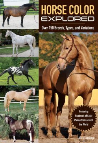 Horse Color Explored: Over 160 Breeds, Types and Variations Explained
