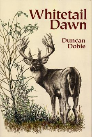 Whitetail Dawn