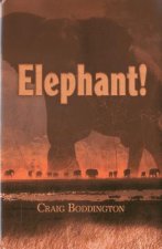 Elephant!