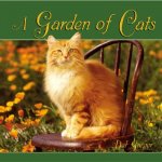 A Garden of Cats